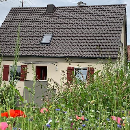 Ferienhaus Bei Lauingen, Mit Sauna Und Gartenlounge Veitriedhausen Eksteriør bilde