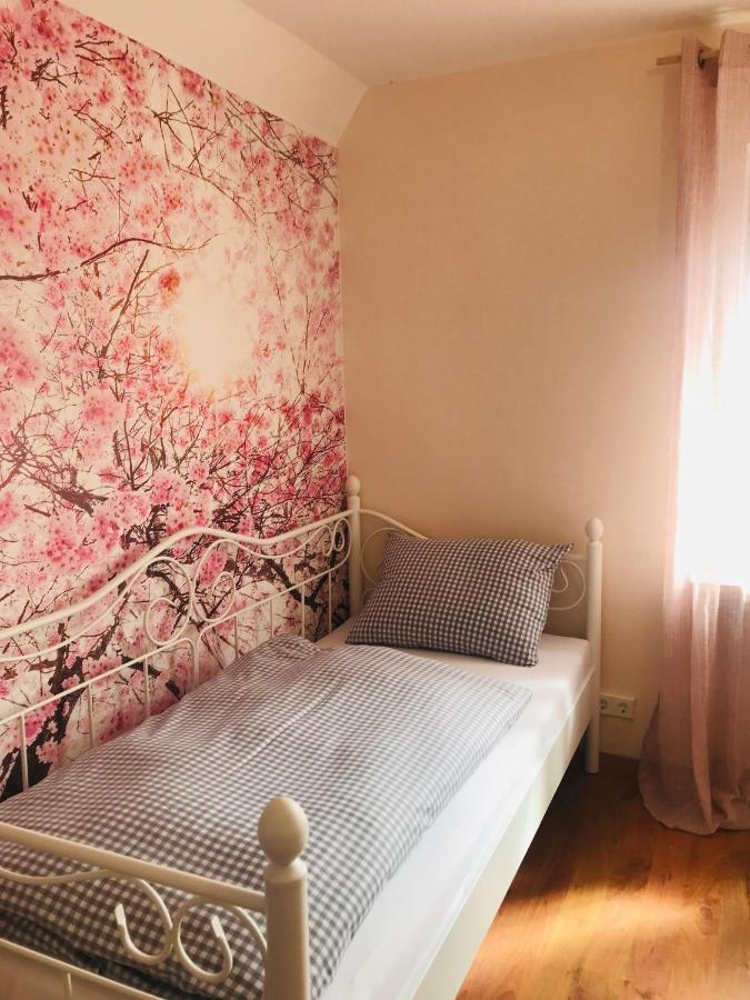 Ferienhaus Bei Lauingen, Mit Sauna Und Gartenlounge Veitriedhausen Eksteriør bilde