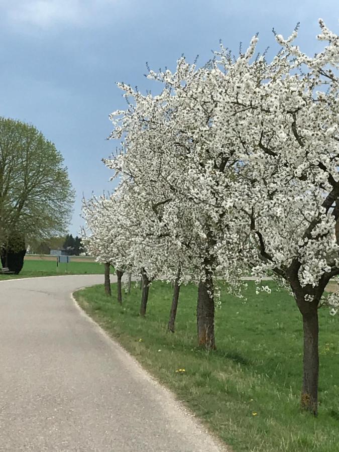 Ferienhaus Bei Lauingen, Mit Sauna Und Gartenlounge Veitriedhausen Eksteriør bilde