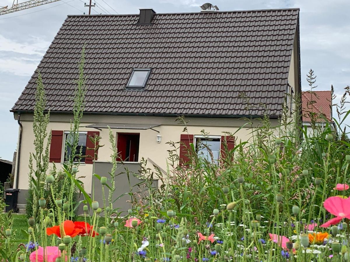 Ferienhaus Bei Lauingen, Mit Sauna Und Gartenlounge Veitriedhausen Eksteriør bilde